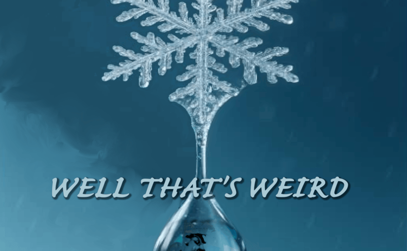 Album cover image