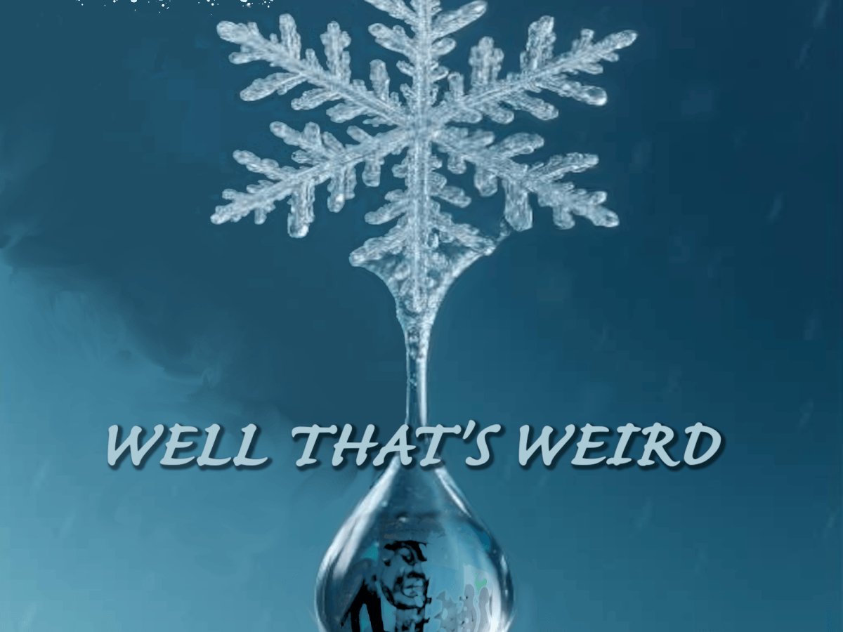 Well THAT’S Weird!